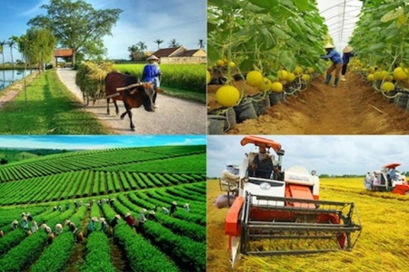 Chủ trương của Đảng và Nhà nước là xây dựng nông nghiệp sinh thái, nông thôn hiện đại, nông dân thông minh