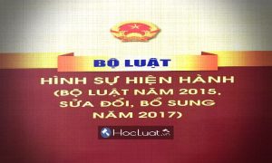 Kế hoạch xây dựng dự án Bộ luật Hình sự sửa đổi