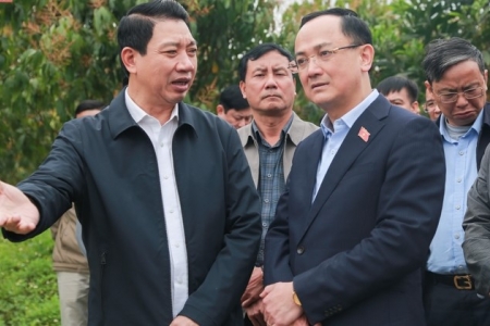 Giám sát việc chuyển đổi mục đích sử dụng rừng thực hiện dự án Hồ chứa nước bản Mồng