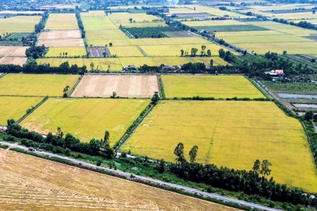 Long An quy định về việc sử dụng một diện tích đất nông nghiệp để xây dựng công trình phục vụ sản xuất nông nghiệp