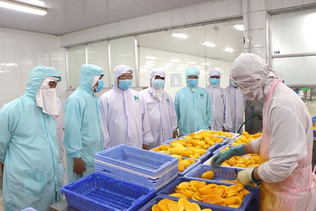 Đồng Tháp phát triển công nghiệp chế biến chuyên sâu kết hợp ngành công nghiệp chủ lực