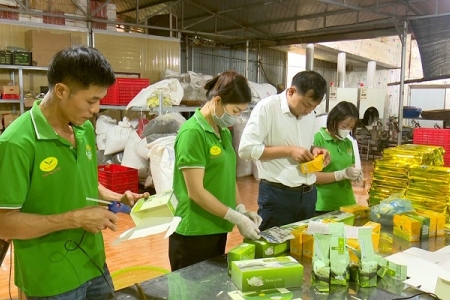 Thái Nguyên: Mã số vùng trồng, chìa khóa nâng tầm nông sản, mở rộng thị trường
