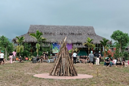 Bình Định xử lý sai phạm của dự án Sản xuất rau an toàn VietGAP