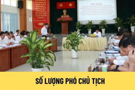 Bộ Nội vụ phải trình Chính phủ Nghị định quy định số lượng Phó Chủ tịch UBND tỉnh, xã trước ngày 30/6