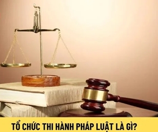 Nghị định quy định phạm vi, nhiệm vụ, quyền hạn và trách nhiệm trong tổ chức thi hành pháp luật
