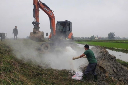 Hà Tĩnh tăng cường công tác phòng chống dịch bệnh và đẩy nhanh tiến độ tiêm phòng cho đàn vật nuôi