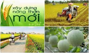 Bình Thuận giao chỉ tiêu thực hiện Chương trình mục tiêu Quốc gia xây dựng nông thôn mới