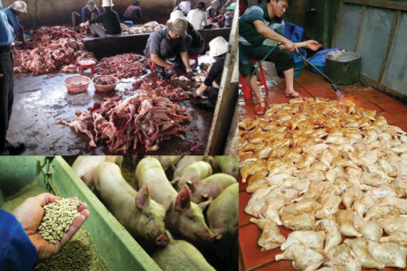 Đề xuất phạt tù tới 20 năm, phạt tiền đến 3 tỷ đồng với hành vi vi phạm an toàn thực phẩm