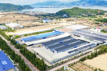 Bình Định: Lần đầu tiên sản xuất đồ dùng bằng gỗ cho thú cưng