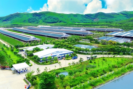 Vinamilk – Thương hiệu mang đậm “bản sắc” TP.HCM trong hành trình 50 năm kiến tạo, vươn tầm 