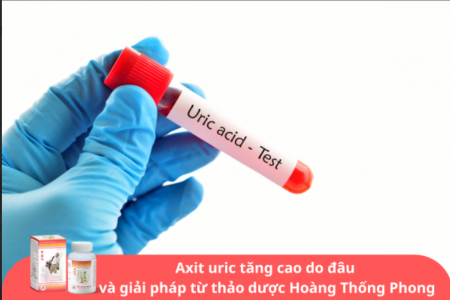 Axit uric tăng cao: Nguyên nhân và giải pháp cải thiện từ thảo dược Hoàng Thống Phong