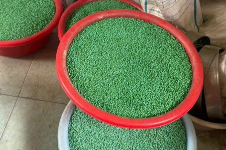 Vụ phá đường dây thuốc giả: Tất cả đối tượng đều không có chuyên môn về ngành dược