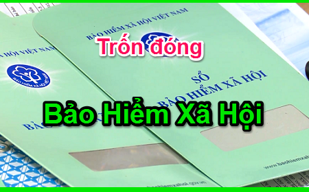 Sẽ truy cứu trách nhiệm hình sự hành vi cố tình trốn đóng bảo hiểm xã hội bắt buộc, bảo hiểm thất nghiệp