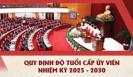 Quy định độ tuổi tham gia cấp ủy tại Đại hội đảng các cấp nhiệm kỳ 2025-2030