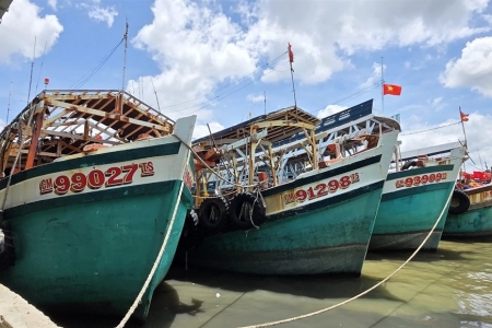 Cà Mau tập trung thực hiện quyết liệt, có hiệu quả các nhiệm vụ và giải pháp chống khai thác IUU