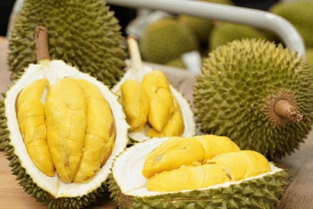 Giá sầu riêng hôm nay 21/4: Thị trường tăng
