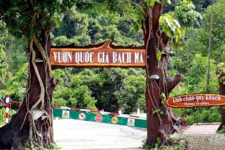 Huế: Vườn quốc gia Bạch Mã cho thuê kinh doanh du lịch sinh thái, nghỉ dưỡng, giải trí