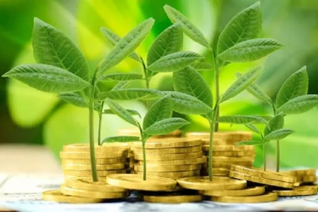 Tín dụng xanh nổi lên như một công cụ tài chính quan trọng để thúc đẩy kinh tế bền vững