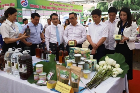 Quảng Bình đẩy mạnh kết nối tiêu thụ sản phẩm đặc trưng qua chuyển đổi số