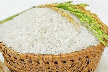 Giá lúa gạo hôm nay 28/4: Lúa tươi vững giá, gạo xuất khẩu tiếp tục tăng