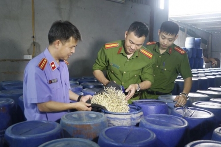 Báo động thực phẩm bẩn xâm nhập bếp ăn tập thể: Nguy cơ tiềm ẩn khôn lường
