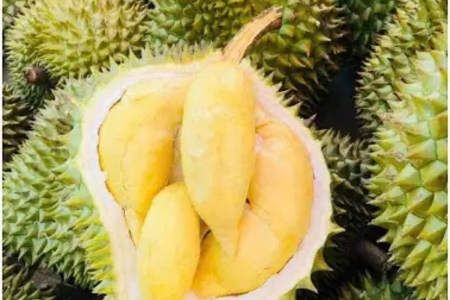 Giá sầu riêng hôm nay 29/4: Thị trường ổn định