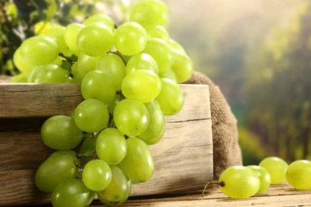 Một loại quả Việt trông nhỏ bé nhưng mang lại lợi ích lớn cho sức khỏe