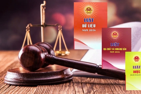 Tổng Bí thư Tô Lâm làm Trưởng ban Chỉ đạo Trung ương về hoàn thiện thể chế, pháp luật