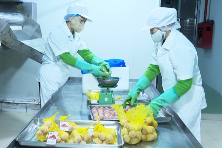 Bắc Giang khởi động xúc tiến tiêu thụ vải thiều