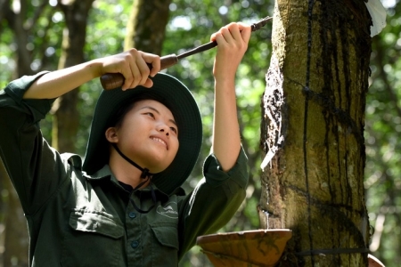 VRG: Chú trọng tăng trưởng xanh và phát triển bền vững