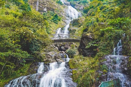 Lào Cai phê duyệt Đề án Du lịch sinh thái, nghỉ dưỡng, giải trí BQL rừng phòng hộ thị xã Sa Pa, giai đoạn 2022-2030