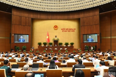 Cần điều chỉnh quản lý chất lượng sản phẩm, hàng hóa theo mức độ rủi ro