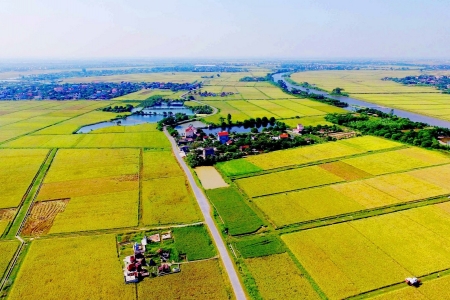Bộ Tài chính đề xuất chính sách miễn thuế đất nông nghiệp đến năm 2030
