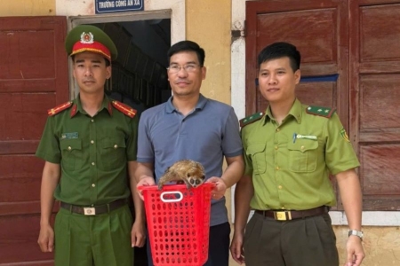 Thêm một cá thể cu li quý hiếm được người dân Quảng Bình phát hiện trong vườn nhà