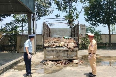 Tiêu hủy gần 5 tấn da trâu, bò không rõ nguồn gốc, xuất xứ