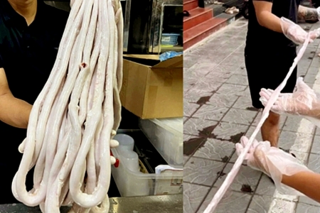Cần làm rõ bộ ‘lòng xe điếu’ dài 40m có nguồn gốc từ đâu?