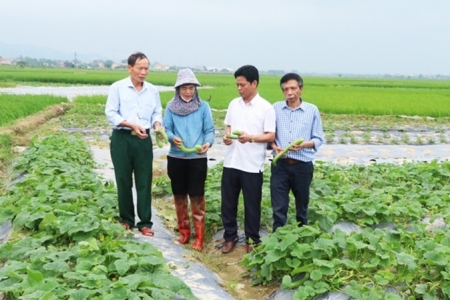 Bắc Ninh: Hơn 648.000 lượt hội viên nông dân ký cam kết “Nói không với thực phẩm không an toàn”