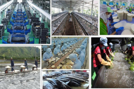 Cải cách thể chế là biện pháp cải cách “rẻ nhất”, “dễ nhất” để kinh tế tư nhân bứt phá