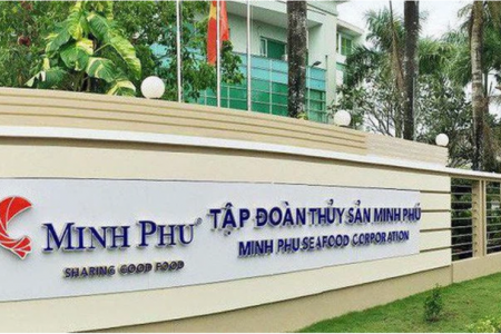 Thuỷ sản Minh Phú lãi trở lại 17,68 trong quý I/2025, đánh dấu sự phục hồi sau hai quý liên tiếp thua lỗ