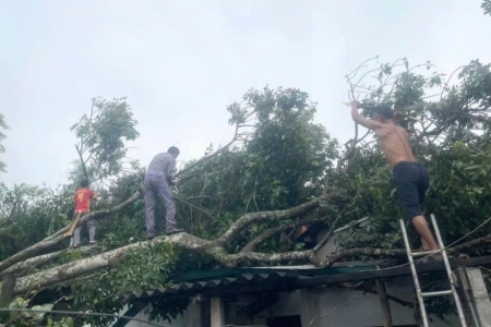 Hà Tĩnh: Huyện Hương Sơn thiệt hại nặng nề sau mưa lớn kèm lốc xoáy
