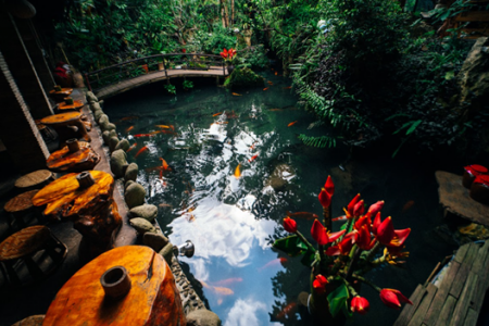 Đến Sa Pa khám phá khu nghỉ dưỡng trên núi đá ở Tả Phìn