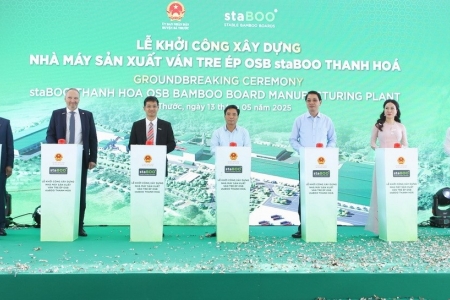 Khởi công xây dựng nhà máy sản xuất ván tre ép gần 3.200 tỷ đồng tại Thanh Hóa