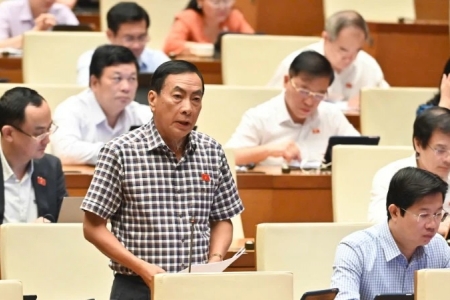 Cân nhắc việc cho doanh nghiệp nhà nước đầu tư ngoài ngành để tránh rủi ro