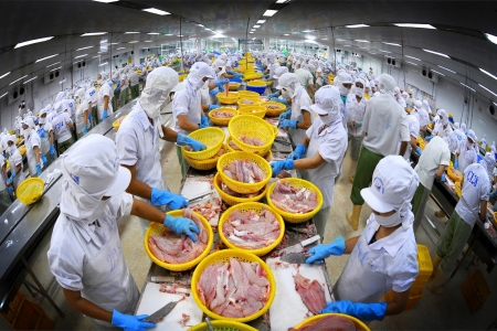 Việt Nam xuất khẩu cá tra sang Brazil tăng tốc, chỉ đứng sau Trung Quốc và Mỹ