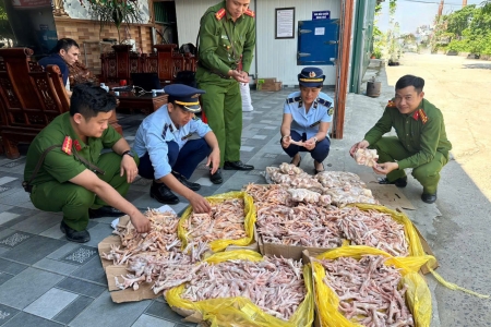 Nghệ An tạm giữ gần 500 kg thực phẩm không rõ nguồn gốc