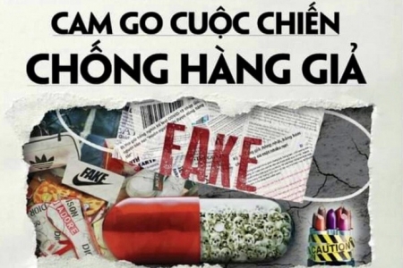 Chuyện hàng giả lọt qua "khe cửa thật"