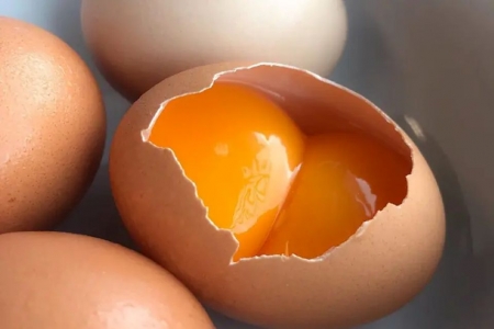 Hiệp hội Gia cầm Việt Nam lên tiếng về thông tin trứng gà giả