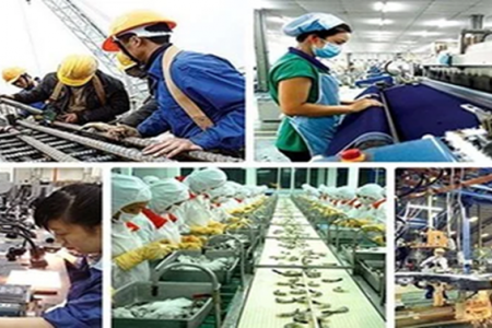 Kế hoạch hành động của Chính phủ về phát triển kinh tế tư nhân