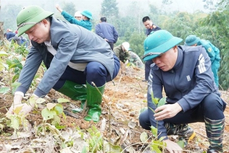 Lào Cai: Trồng mới gần 30.000 cây phân tán tại huyện Văn Bàn