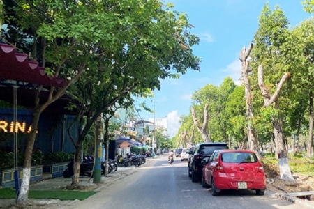 Bình Định: TP. Quy Nhơn sẽ có 3 tuyến phố đi bộ mới